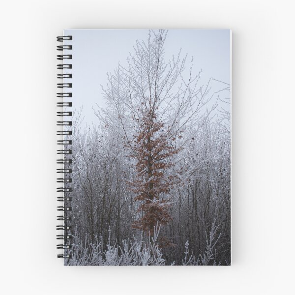 Item preview, Icy cold in January - landscape format designed and sold by Silent-Seasons.