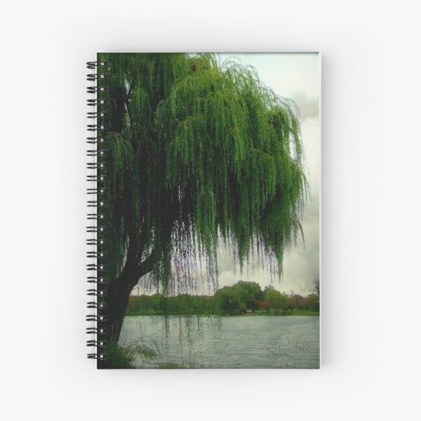 My beautiful weeping willow © Spiral Notebook