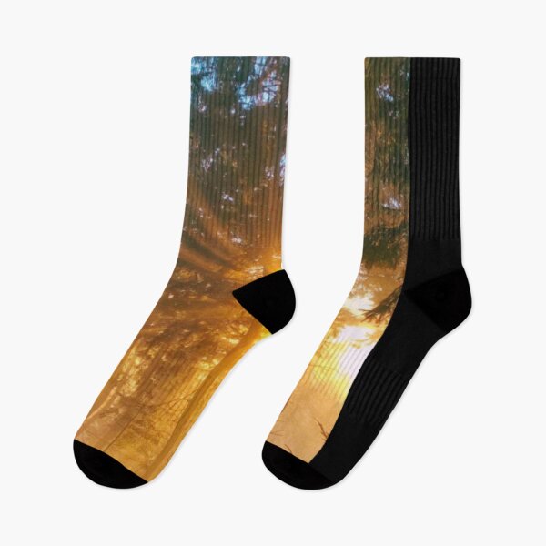 Item preview, Light Shining Through Forest and Pine Trees - Beautiful Woodlands - WildSwimming designed and sold by WildSwimming.