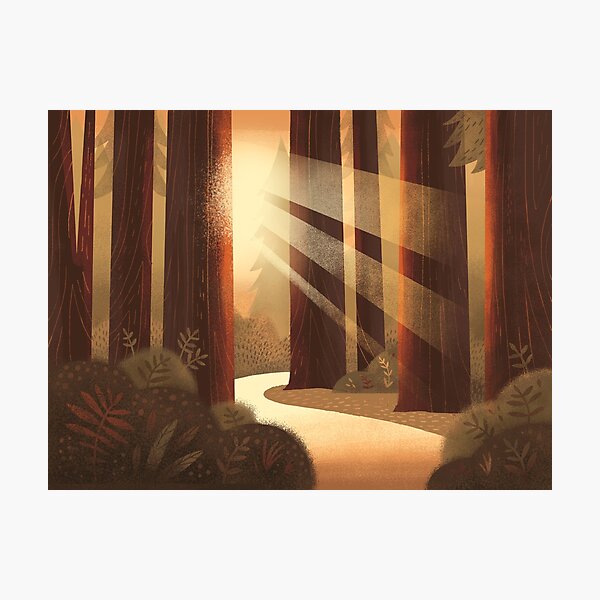 Item preview, Redwood National Park designed and sold by emilydove.