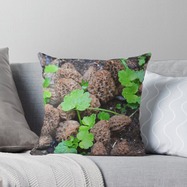 Item preview, Nuevo en el vecindario designed and sold by John McCarthy.
