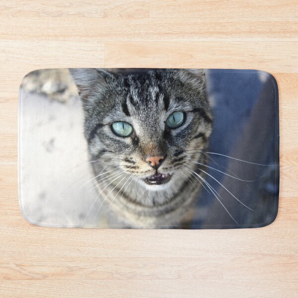 Item preview, I Follow My Whiskers Tabby Cat Photography designed and sold by taiche.