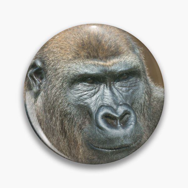 Item preview, Gorilla Portrait designed and sold by rawshutterbug.