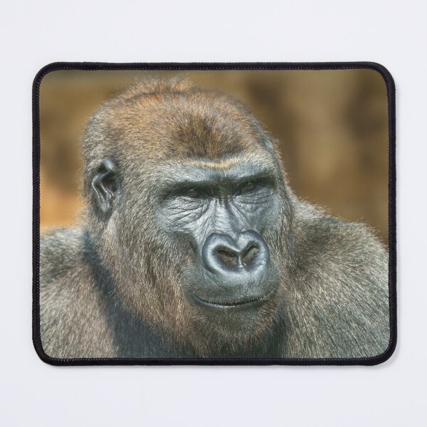 Item preview, Gorilla Portrait designed and sold by rawshutterbug.