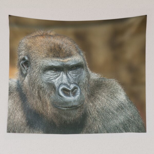 Item preview, Gorilla Portrait designed and sold by rawshutterbug.