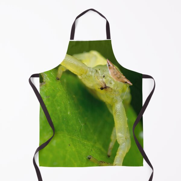 Item preview, Unique and organic photo of a crab spider  designed and sold by AvonPerception.
