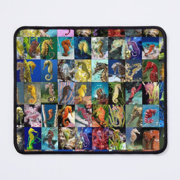 Item preview, Seahorses designed and sold by Montage-Madness.