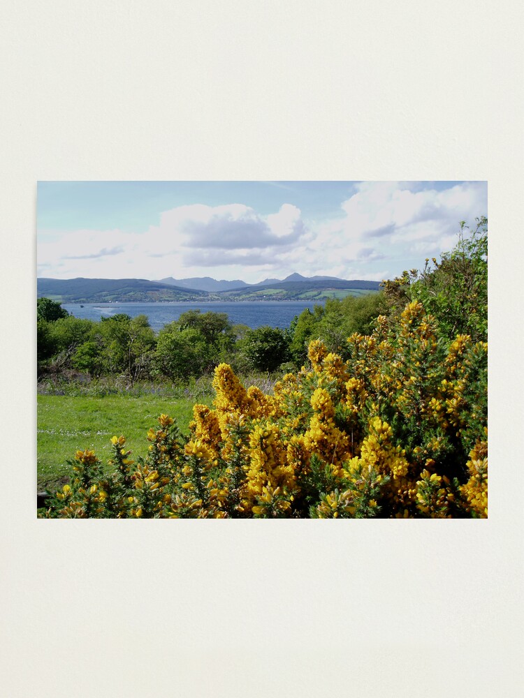 Alternate view of Lamlash from King's Cross Photographic Print