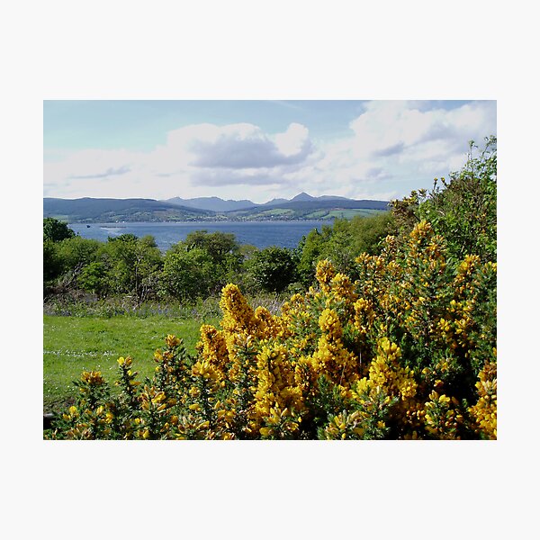 Photographic Print