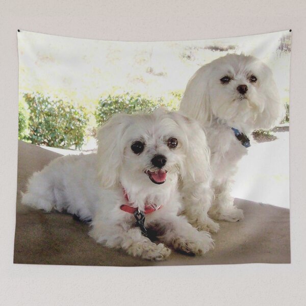 Item preview, Maltese dogs designed and sold by Carlo Varo.