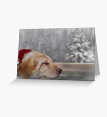 Dreamin' of a White Christmas 2 Greeting Card