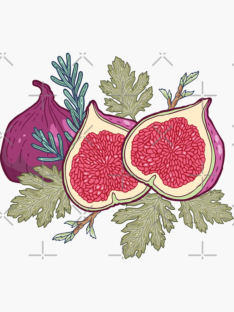 Dreamy fig garden by smalldrawing