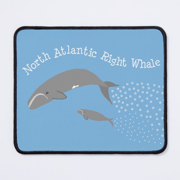 Item preview, North Atlantic Right Whales designed and sold by Timberdoodlz.