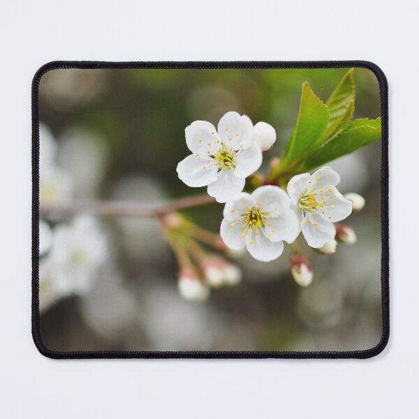 Item preview, Tender White Spring Flowers designed and sold by denis-romanov.