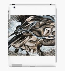 Skulls iPad Case/Skin