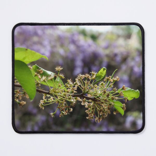 Item preview, Wisteria Blossoms designed and sold by beckahbrooks.