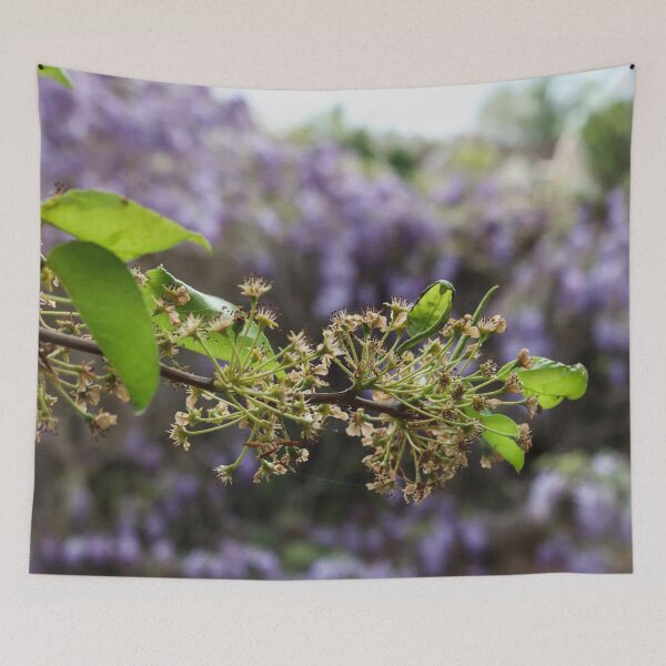 Item preview, Wisteria Blossoms designed and sold by beckahbrooks.