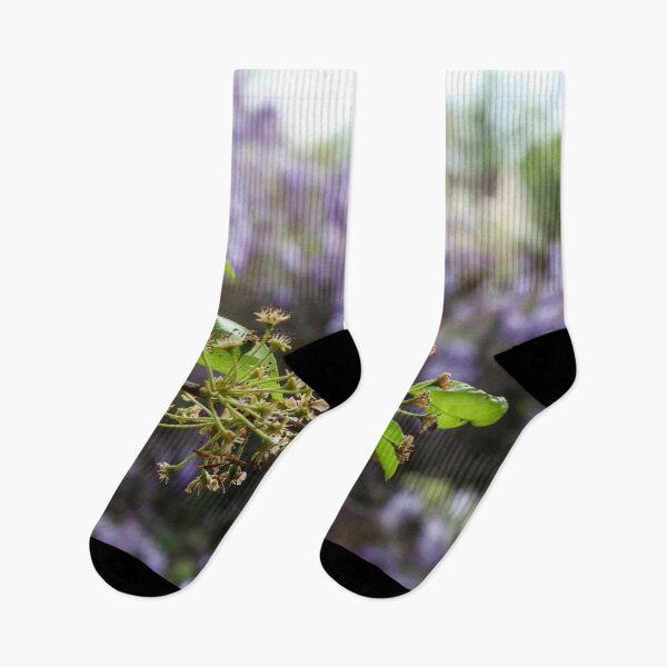 Item preview, Wisteria Blossoms designed and sold by beckahbrooks.