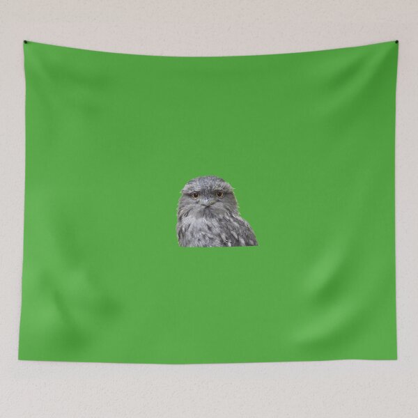 Item preview, Tawny Frogmouth designed and sold by andrew82984.