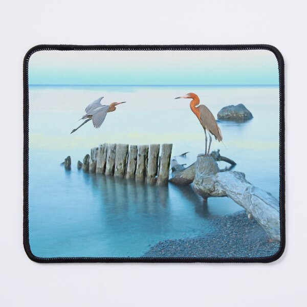 Item preview, Reddish Egrets at the Coast designed and sold by FineArtography.