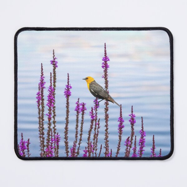 Item preview, Yellow Headed Blackbird designed and sold by FineArtography.