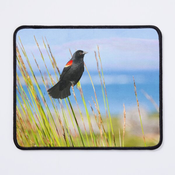 Item preview, Summer Red Winged Blackbird designed and sold by FineArtography.