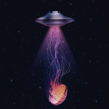 Artwork thumbnail, Invader by buko