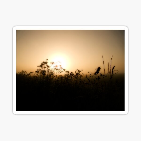 At Dawn Sticker