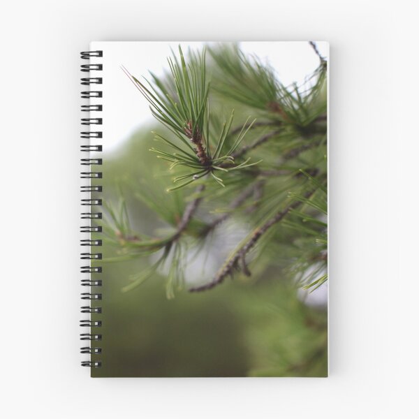 Item preview, burra pine designed and sold by Jan Stead JEMproductions.