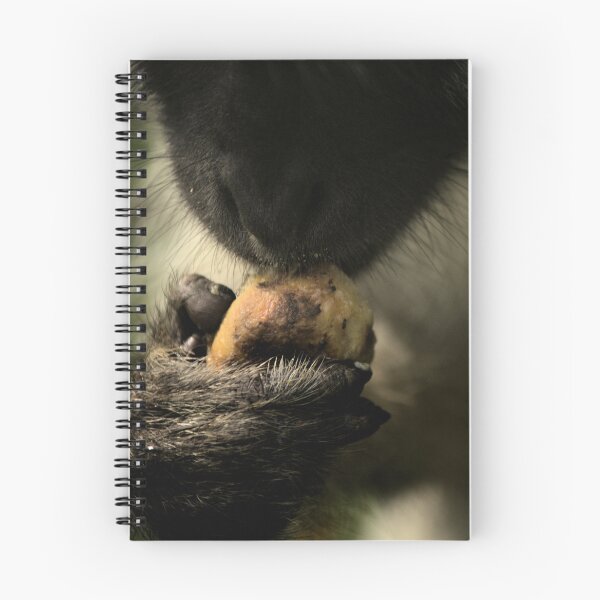 Item preview, Vervet Monkey Eating - Animal lovers photography designed and sold by artyfartypants.