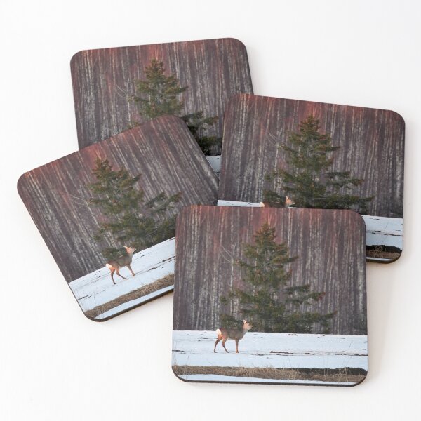 Item preview, Oh mama. White-tailed deer designed and sold by Jouko Lehto Photography.