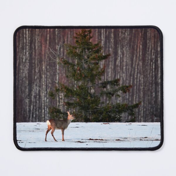 Item preview, Oh mama. White-tailed deer designed and sold by Jouko Lehto Photography.