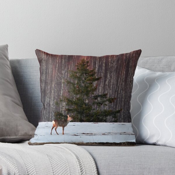 Item preview, Oh mama. White-tailed deer designed and sold by Jouko Lehto Photography.