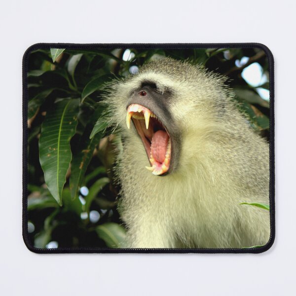 Item preview, Yawn, Monkey, Monkey Yawning - Animal lovers photography designed and sold by artyfartypants.