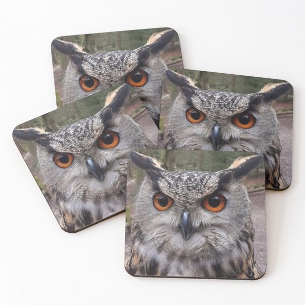 Item preview, Wise Old Owl Nature Photo Design Center Parcs designed and sold by TacoRose.