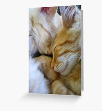 Snuggle Kittens Greeting Card