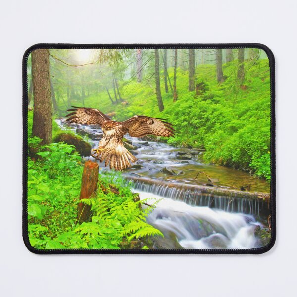 Item preview, Red Tailed Hawk Landing designed and sold by FineArtography.