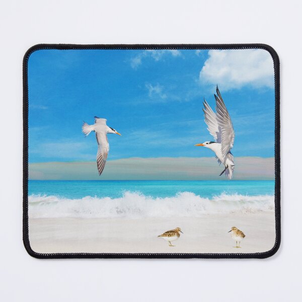 Item preview, Royal Terns and Sandpipers designed and sold by FineArtography.