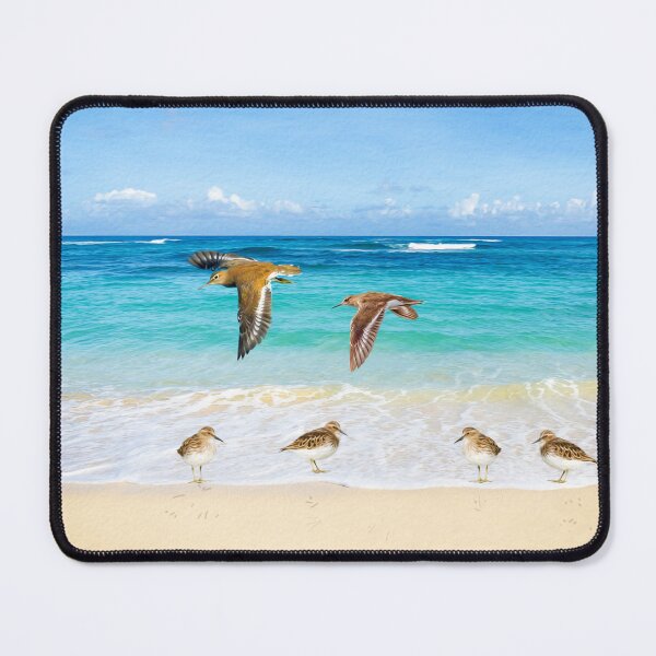 Item preview, Sandpiper Birds at Ocean Beach designed and sold by FineArtography.