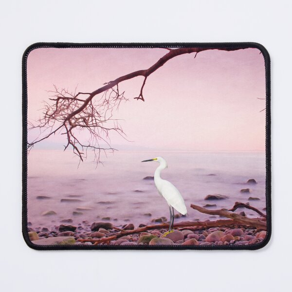 Item preview, Snowy Egret on Florida Coast designed and sold by FineArtography.