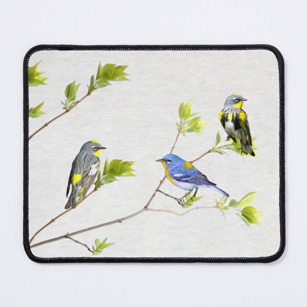 Item preview, Spring Warbler Birds designed and sold by FineArtography.