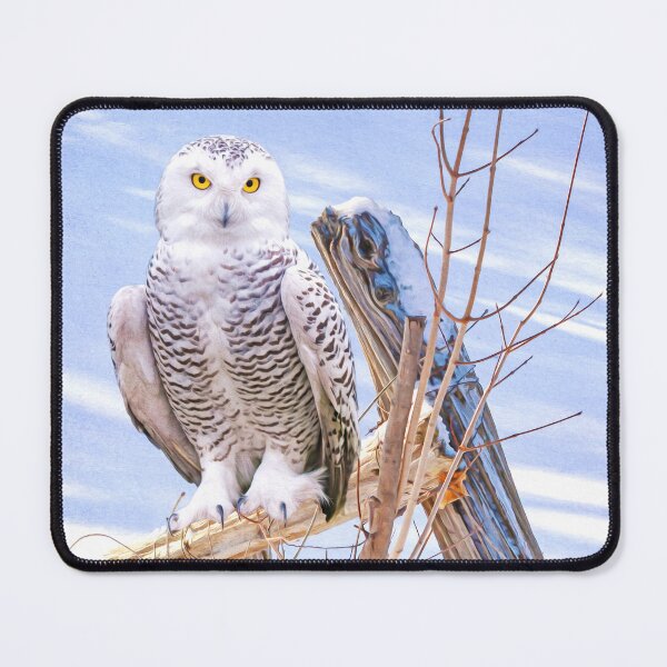 Item preview, Snowy Owl on Guard designed and sold by FineArtography.