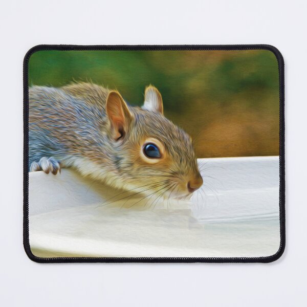 Item preview, North American Ground Squirrel designed and sold by FineArtography.