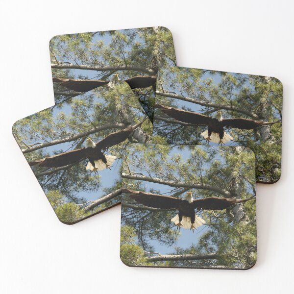 Item preview, Eagle Wingspan designed and sold by locustgirl.