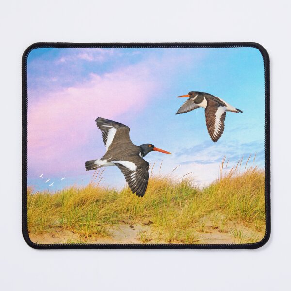 Item preview, Oystercatcher Birds on Patrol designed and sold by FineArtography.
