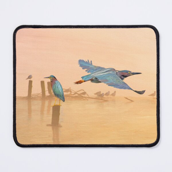 Item preview, Green Heron Sunrise designed and sold by FineArtography.