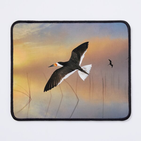 Item preview, Black Skimmer at Sunset designed and sold by FineArtography.