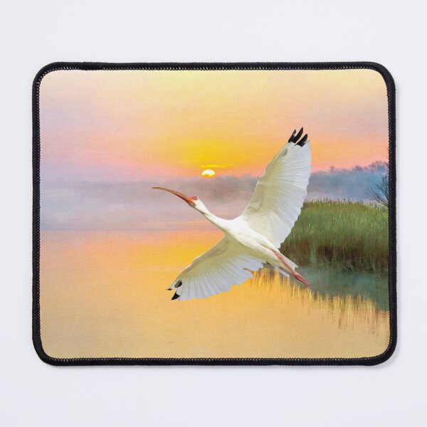 Item preview, White American Ibis Bird in Flight designed and sold by FineArtography.