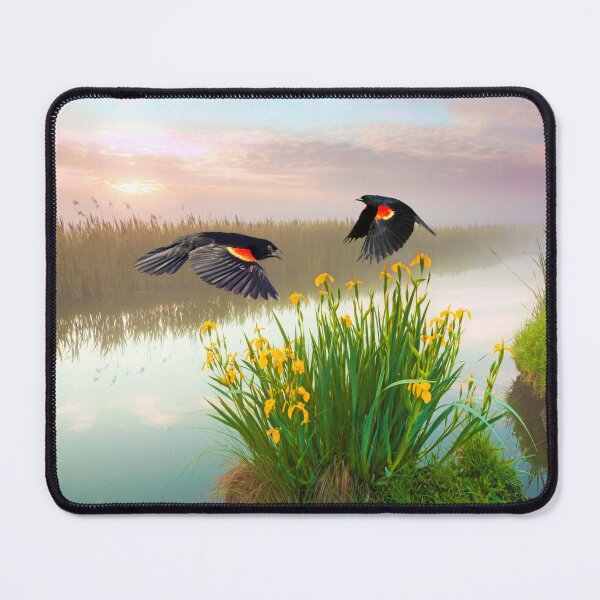 Item preview, Blackbirds Dance with Iris designed and sold by FineArtography.