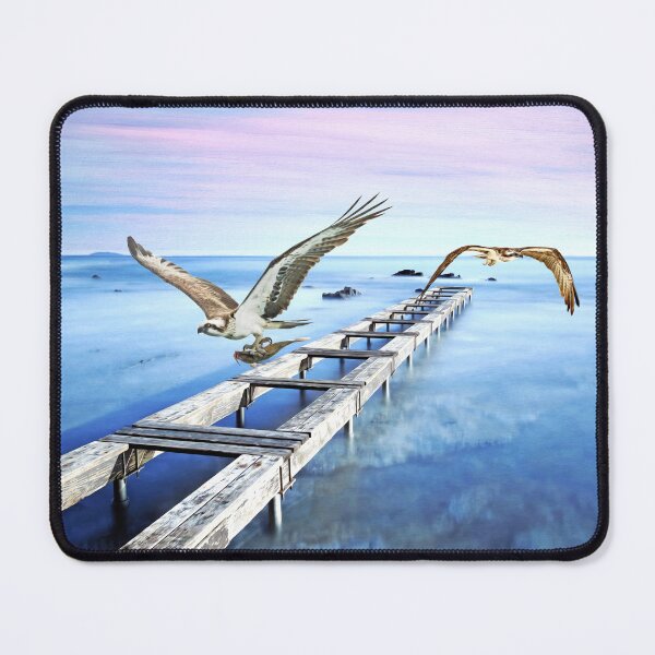 Item preview, Osprey on the Move designed and sold by FineArtography.
